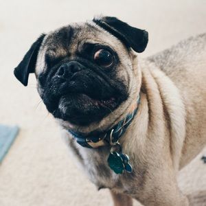 Meet your Posher, Bryanth